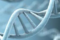 ddos网页在线攻击